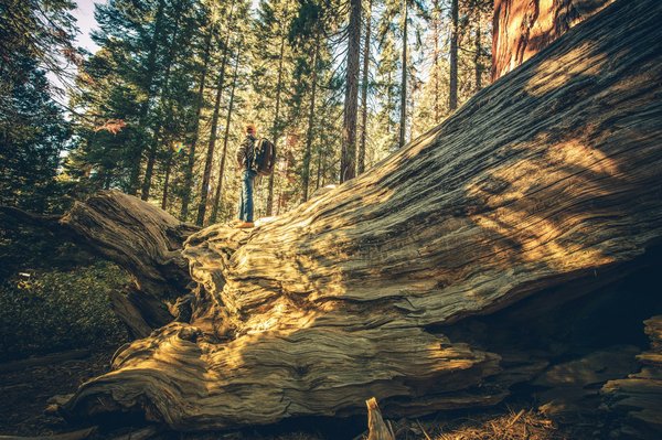 Comment organiser un itinéraire de camping pour découvrir les volcans d'Hawaï?