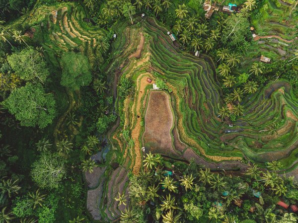 Où trouver des stages de yoga en pleine nature en Bali?